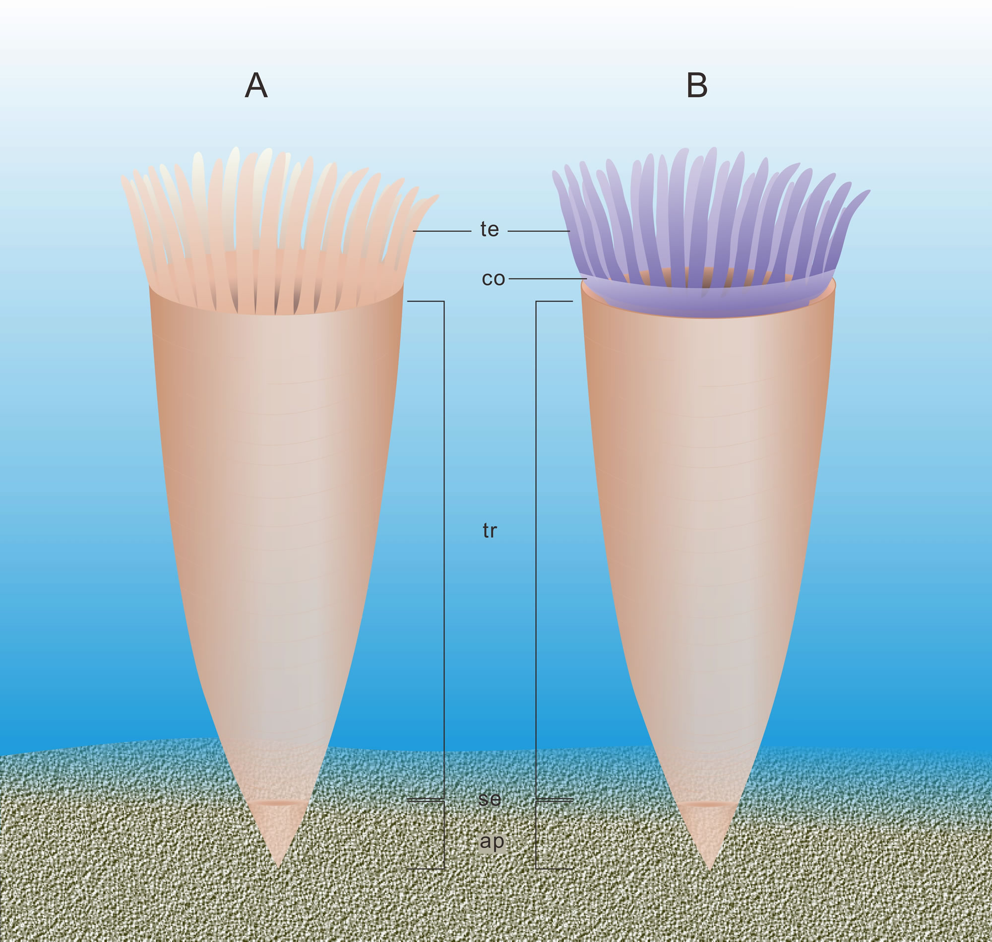 ����ͳν�����Ⱥ���ѹ�״��ʯ�����������о���չ