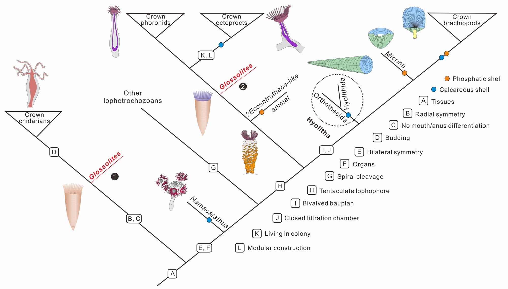 ����ͳν�����Ⱥ���ѹ�״��ʯ�����������о���չ