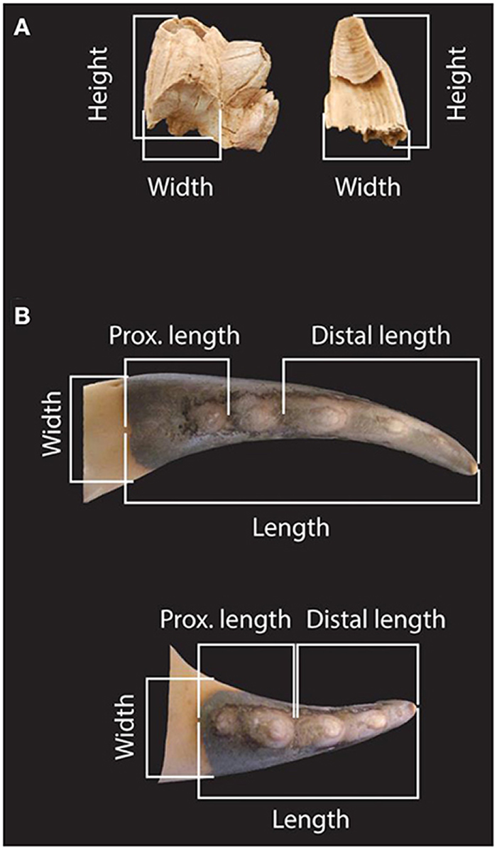 ��������Ѩ���ų����������ž�ʯ��ʱ�������Ͳ˵���9����ǰ�ᰲ�����˳��з