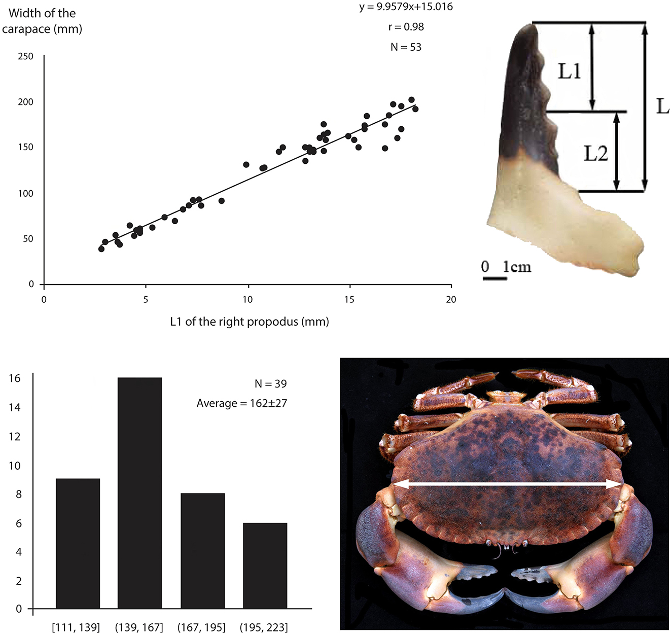 ��������Ѩ���ų����������ž�ʯ��ʱ�������Ͳ˵���9����ǰ�ᰲ�����˳��з