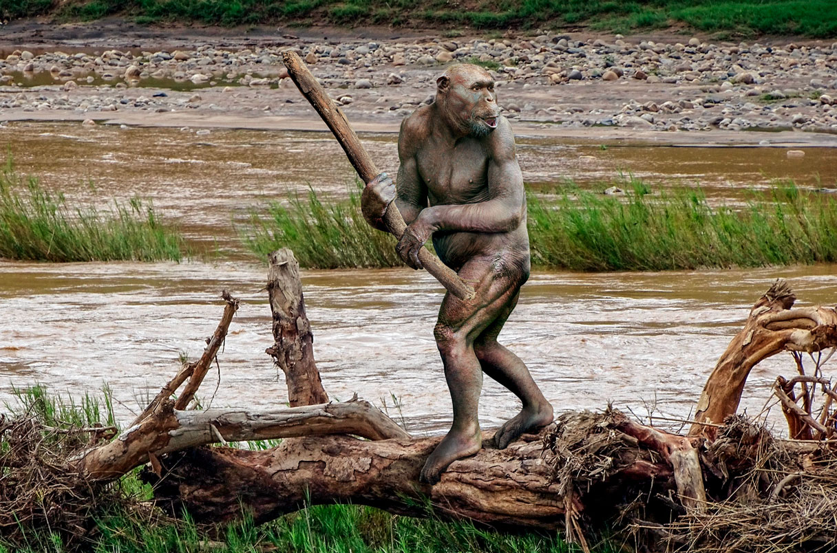 ��ֹһ������������ʹ������ʯ����