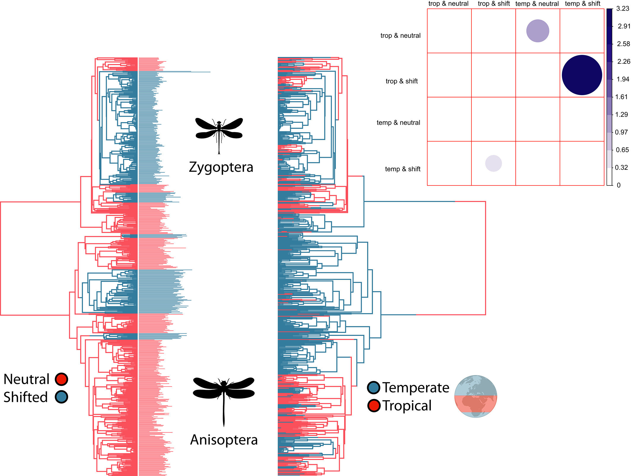 研究显示昆虫的大小是由温度和捕食者决定的