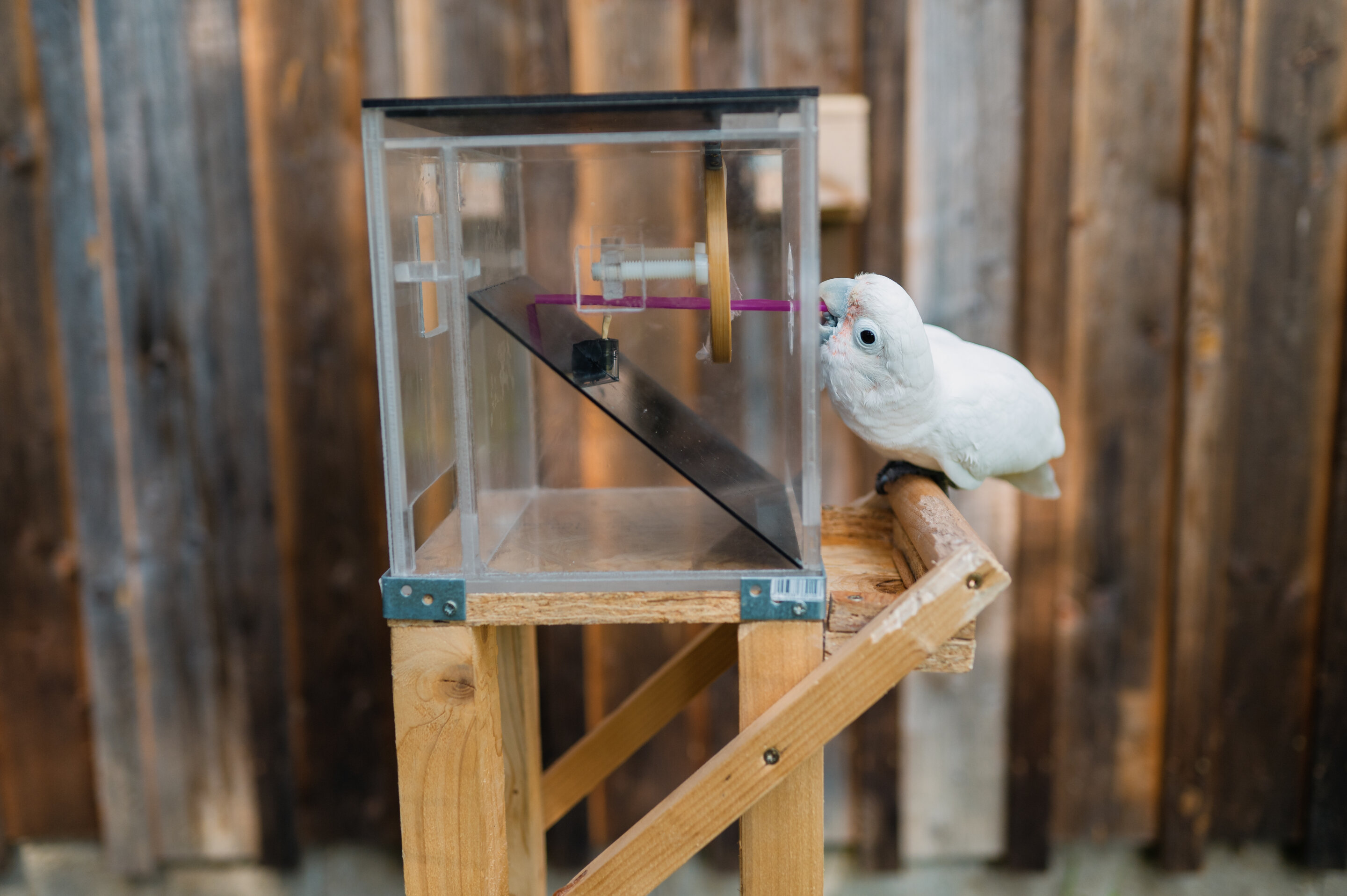 ����������ѧ����־����ͷ����֪�������ǵ�����ʱҪ���϶��ֹ���