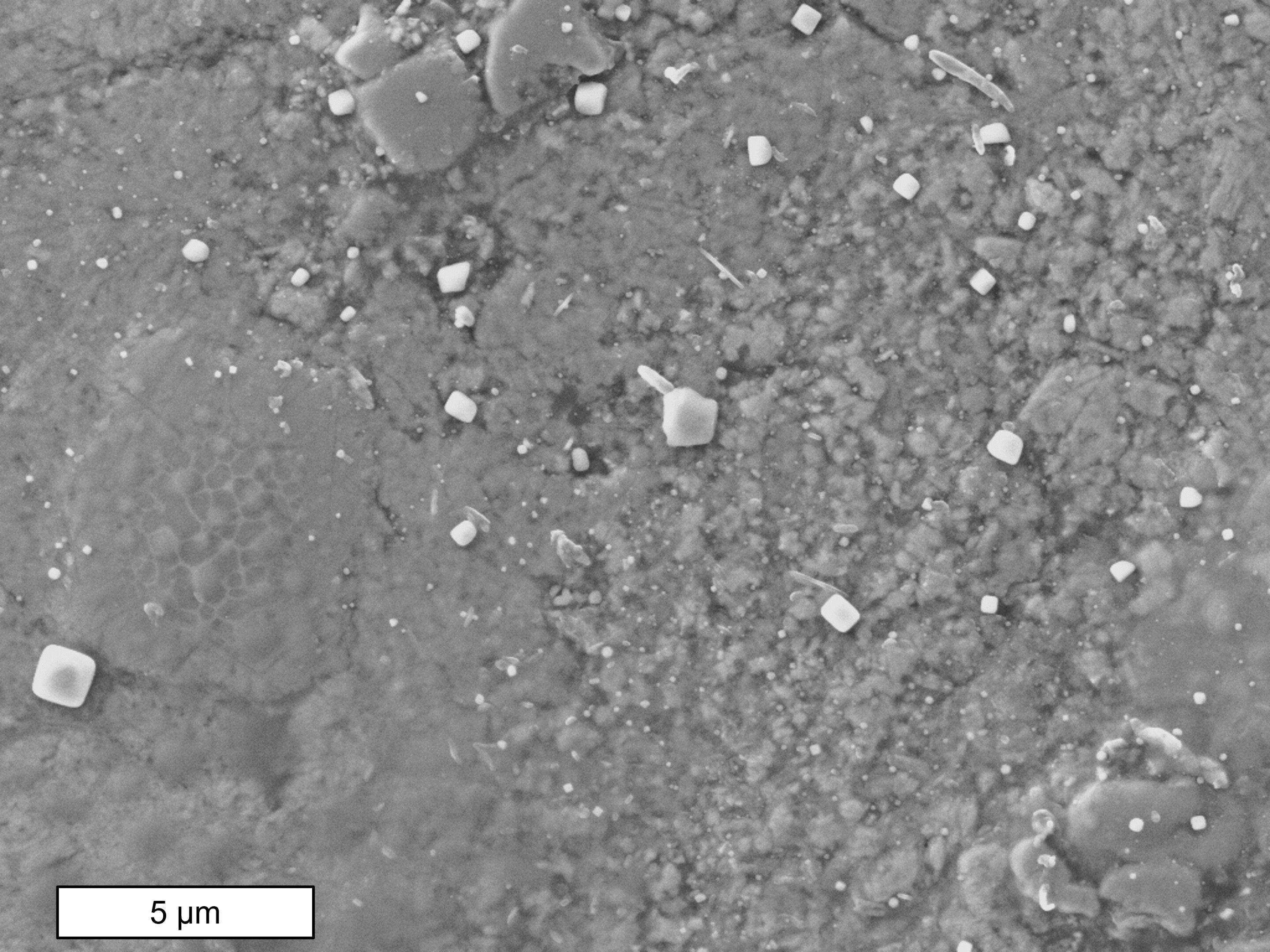 科学家发现地球的大气层给落到地球上的陨石添加了少量的盐