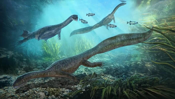 ǱľʡԴزзֺ֯Ǳʯ