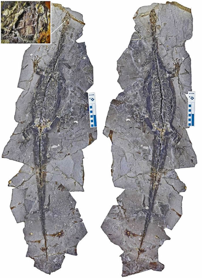 ǱľʡԴزзֺ֯Ǳʯ