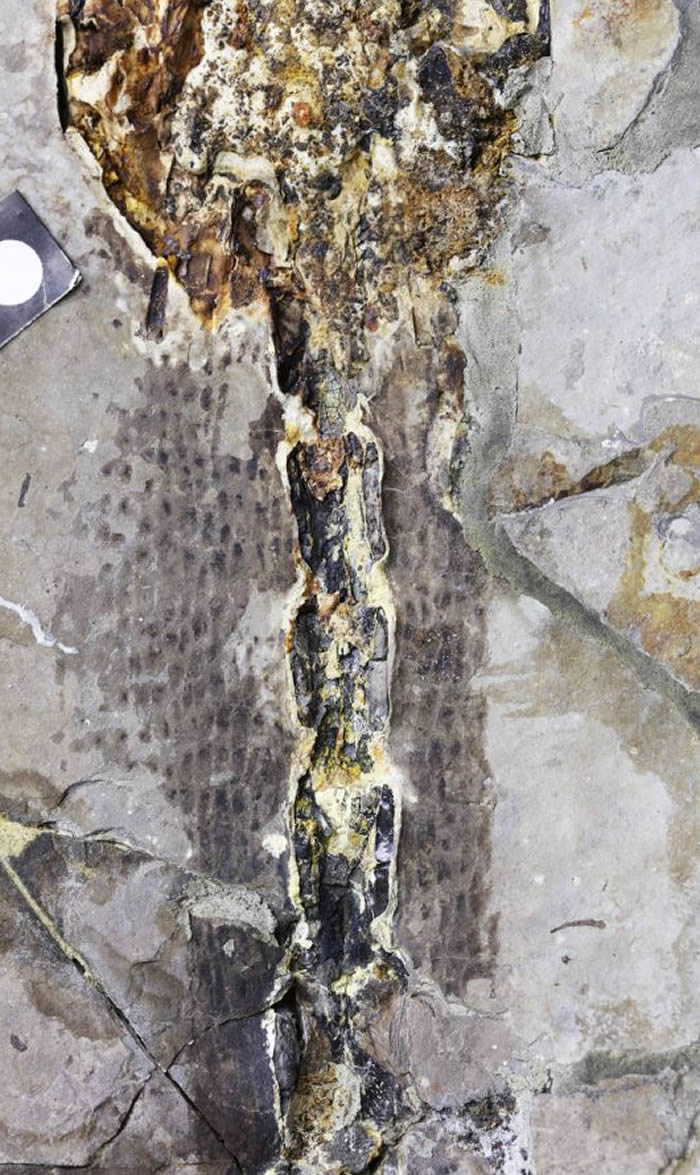 ǱľʡԴزзֺ֯Ǳʯ