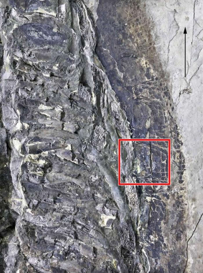 ǱľʡԴزзֺ֯Ǳʯ