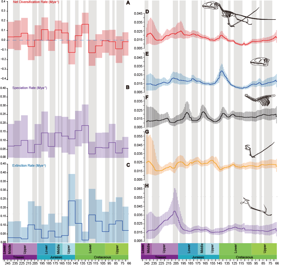《当代生物学》:关于翼龙多样性大尺度演化的新研究成果