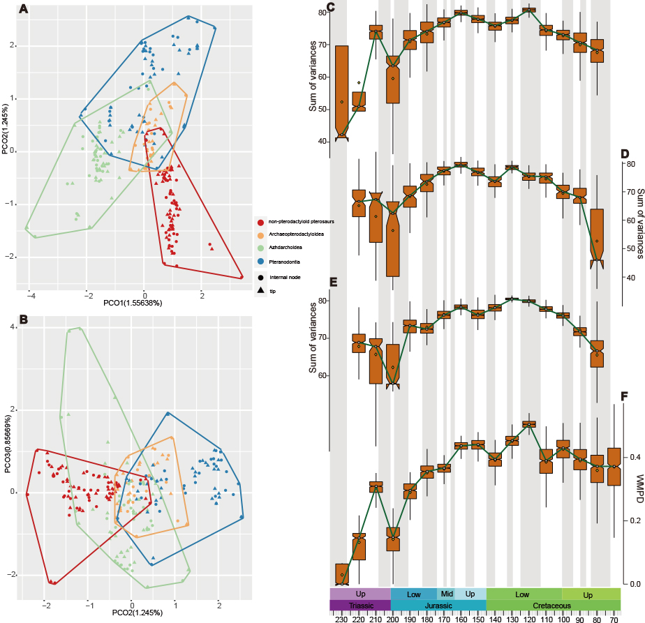 《当代生物学》:关于翼龙多样性大尺度演化的新研究成果