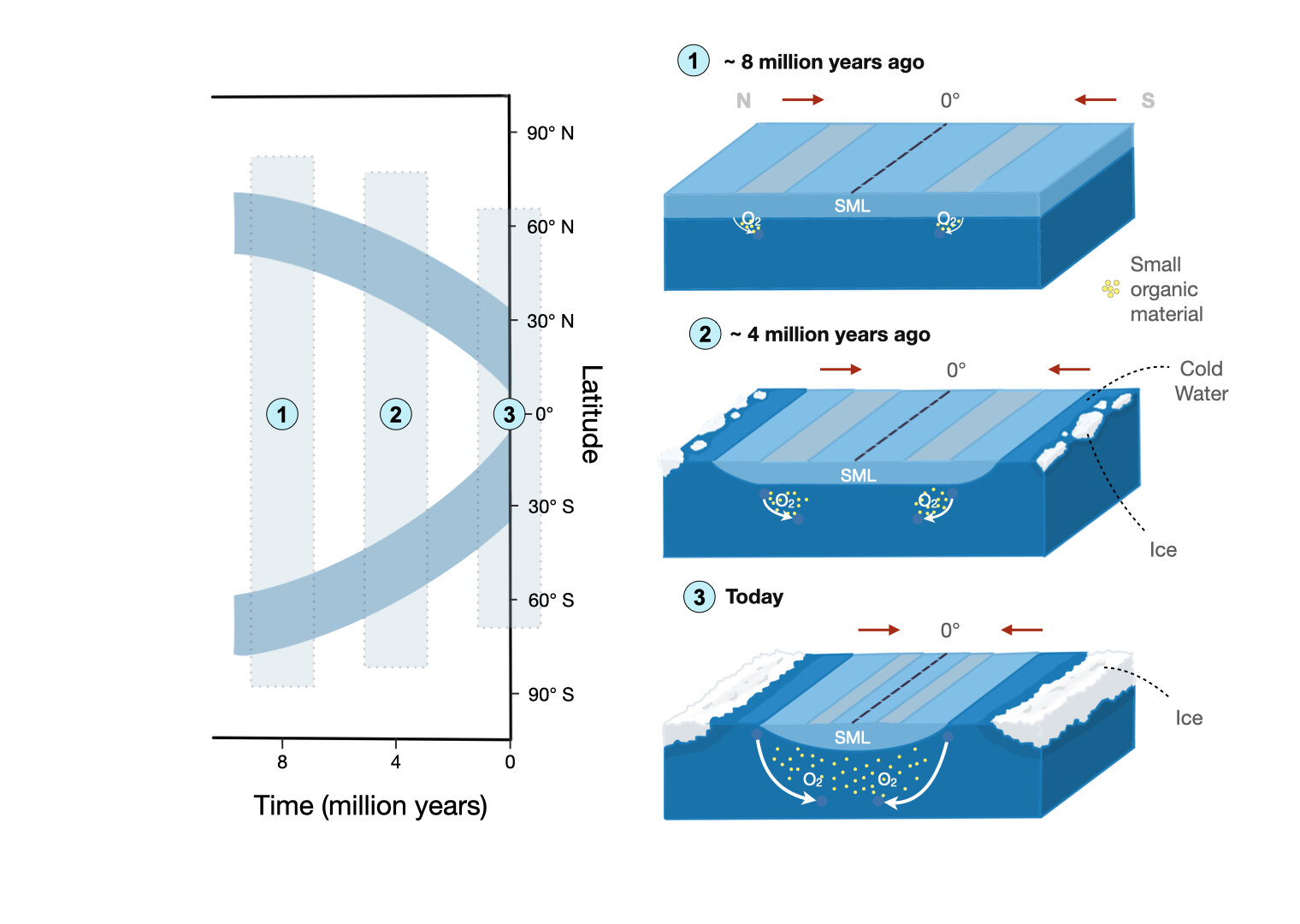 研究表明晚新生代气候变冷在生物地理学上改变了海洋浮游生物群落
