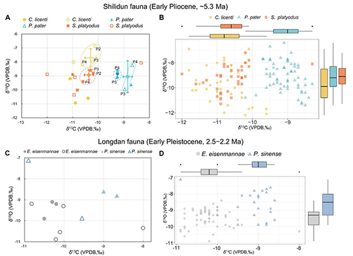 《古地理古气候古生态》:甘肃临夏盆地马科动物古生态研究的最新进展