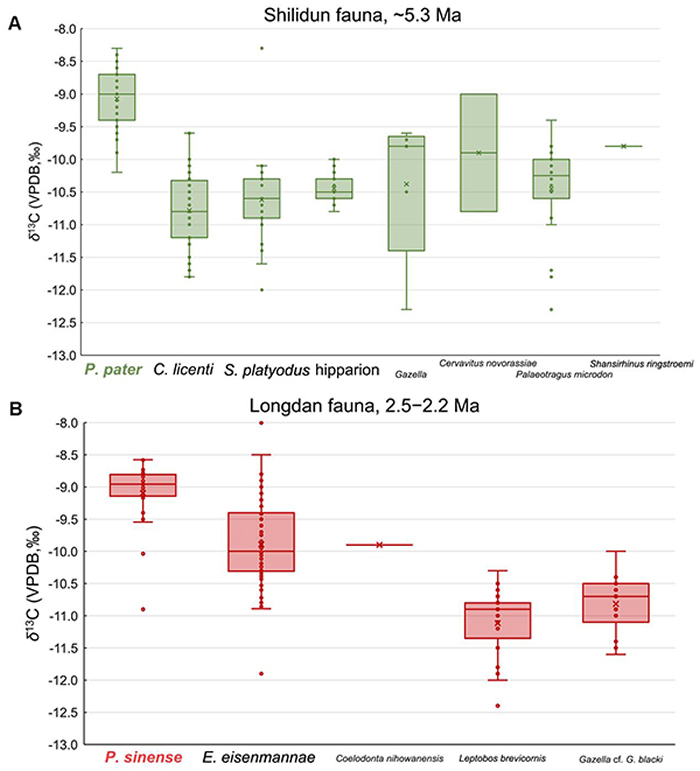 《古地理古气候古生态》:甘肃临夏盆地马科动物古生态研究的最新进展