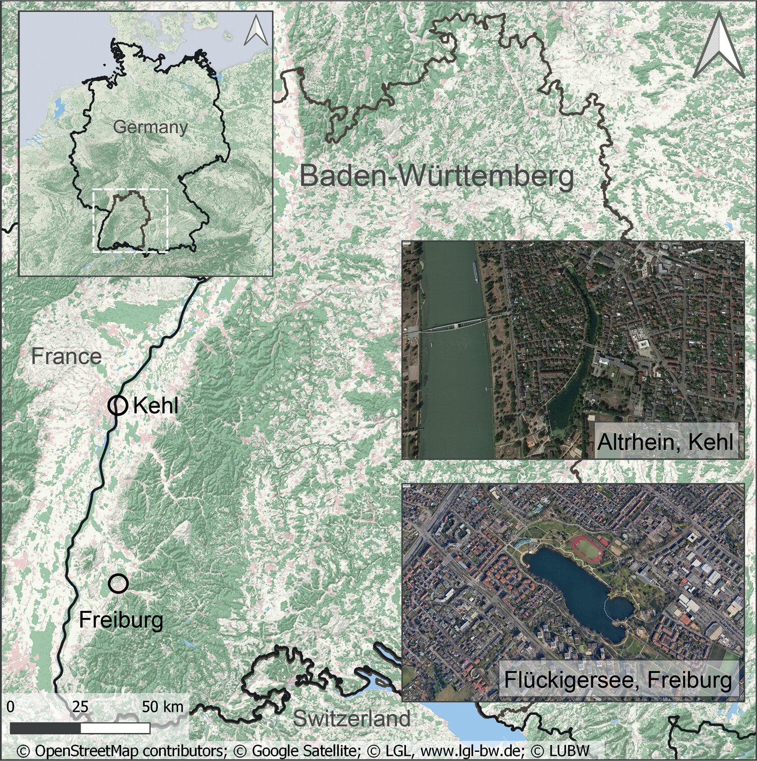 北美海龟成为德国南巴登的特有物种,可能对生态系统构成威胁