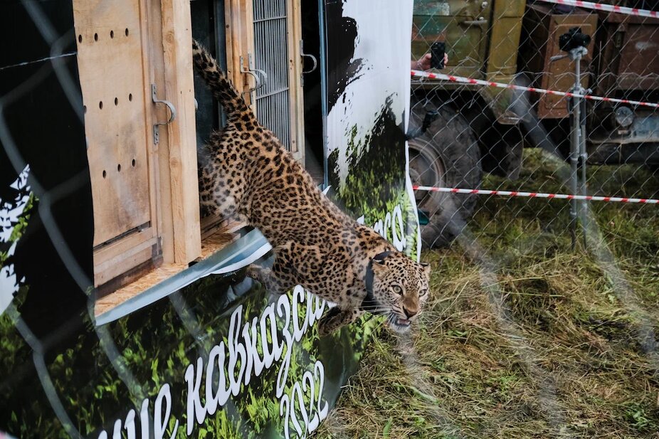 ��������ʳ����������Ұ���з��յ�Ҳ��Ҫ �������ȷ�����Ǵ������