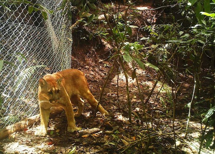 ��������ʳ����������Ұ���з��յ�Ҳ��Ҫ �������ȷ�����Ǵ������