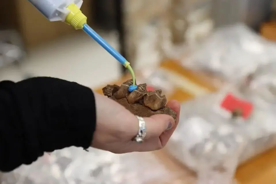 PLOS ONE杂志:研究发现尼安德特人的狩猎策略不受气候变化影响