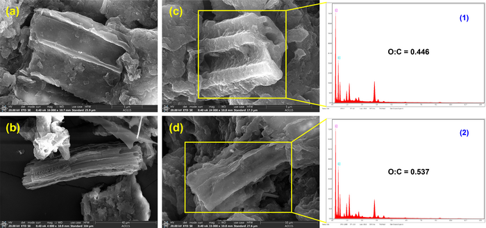 青藏高原东北部近千年藏族宗教活动变迁的湖泊沉积记录