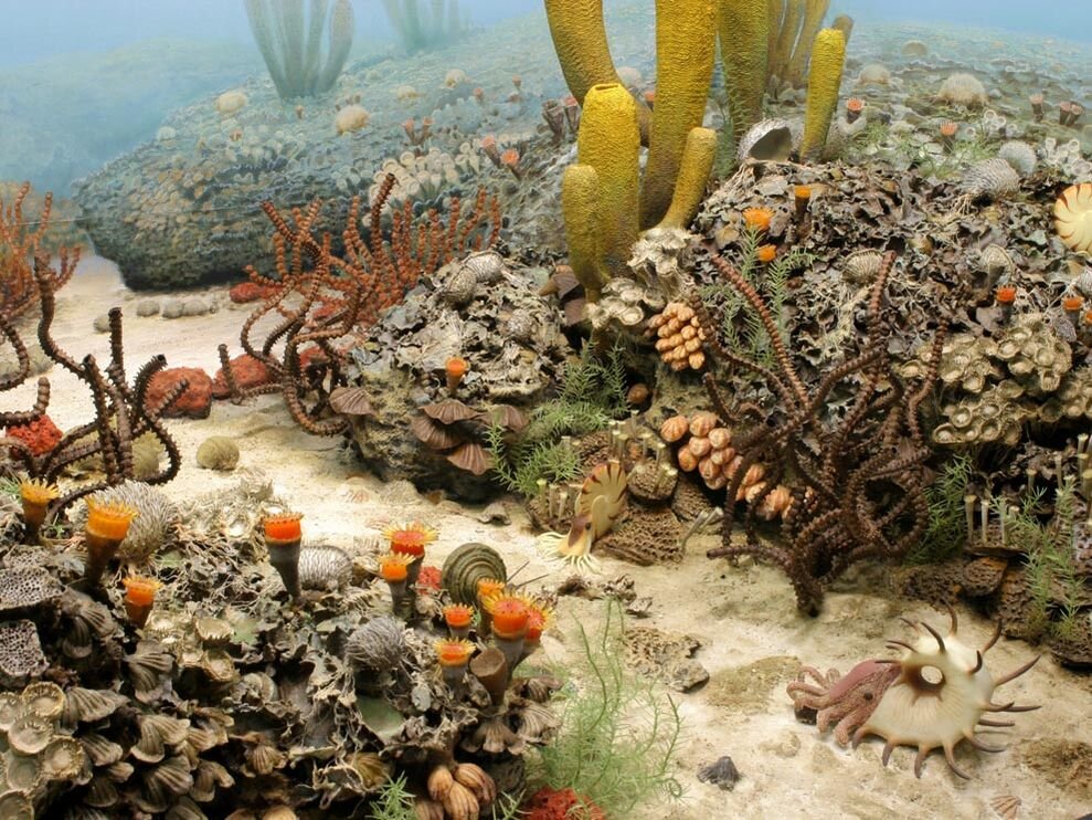 新研究揭示生物多样性的丧失导致了2.52亿年前地球生物“大灭绝”后的生态崩溃