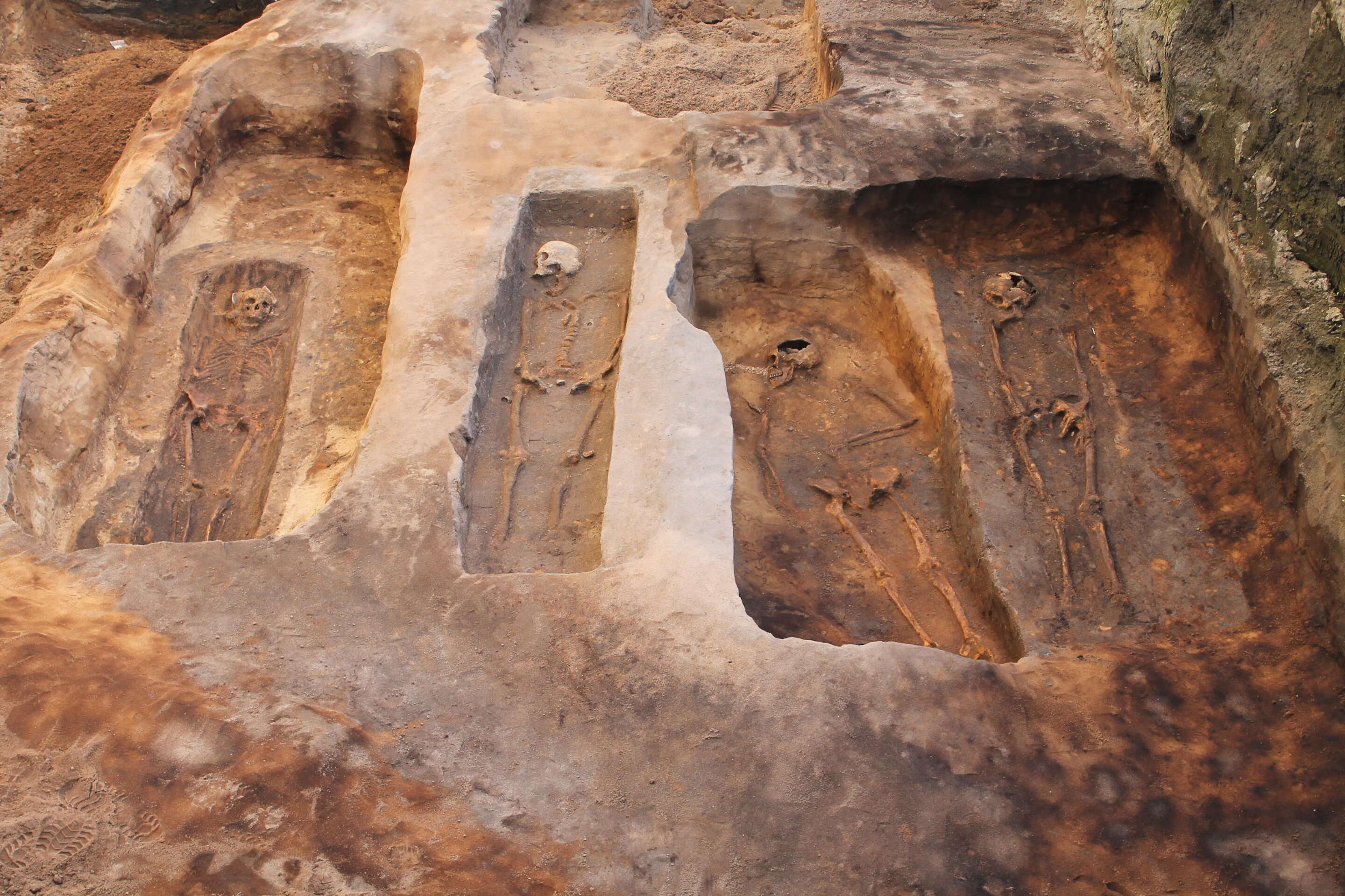 致命的海浪:研究人员记录了中世纪丹麦数百年来瘟疫的演变