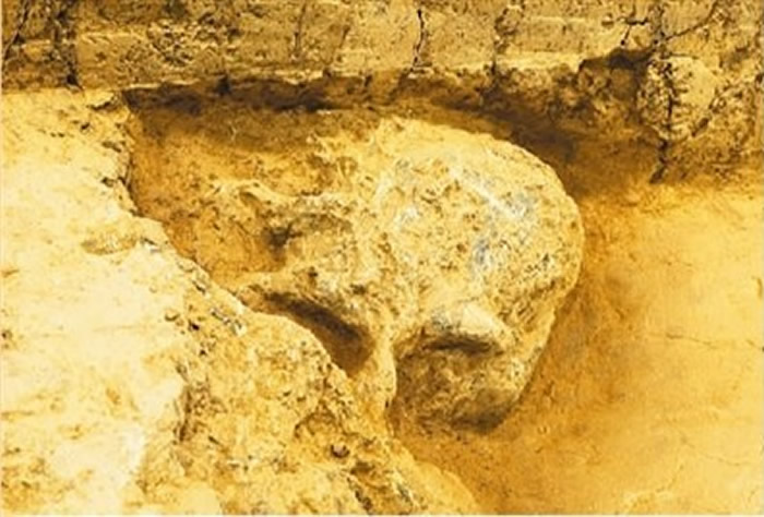 ��2022���й������·��֡�����������ʮ����ѧ������(������)��ʯ��ʱ����ַ��ѡ