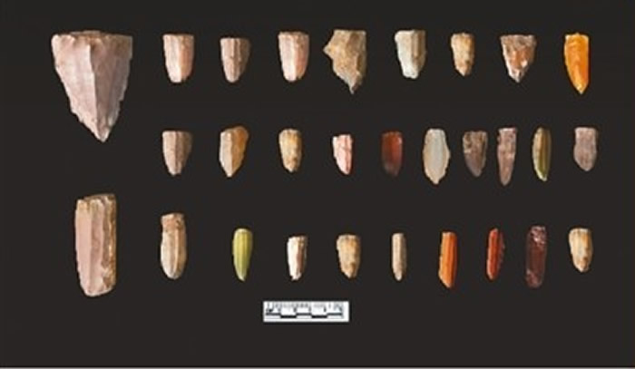 ��2022���й������·��֡�����������ʮ����ѧ������(������)��ʯ��ʱ����ַ��ѡ