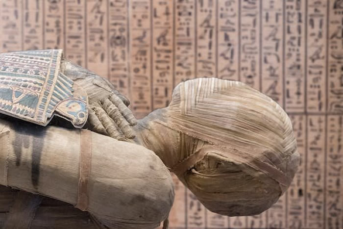五项发现改变了我们对古埃及人制作木乃伊的理解