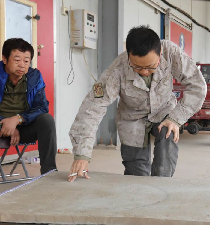 陕北鄂尔多斯盆地发现一组十分罕见的2亿年前鲎和鱼类遗迹化石