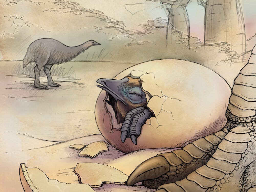 ��ʯ���ǵ�DNA��ʾ���������������������