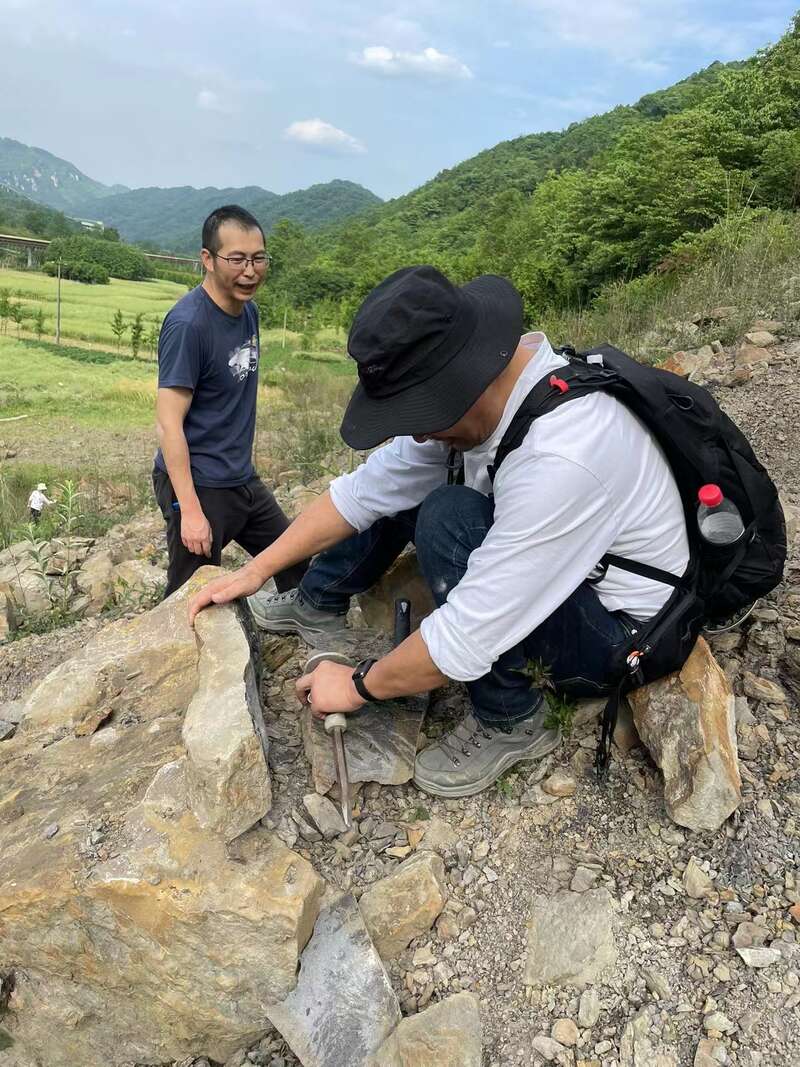 四川彭州上三叠统须家河组发现疑似2亿年前龟类的游泳遗迹