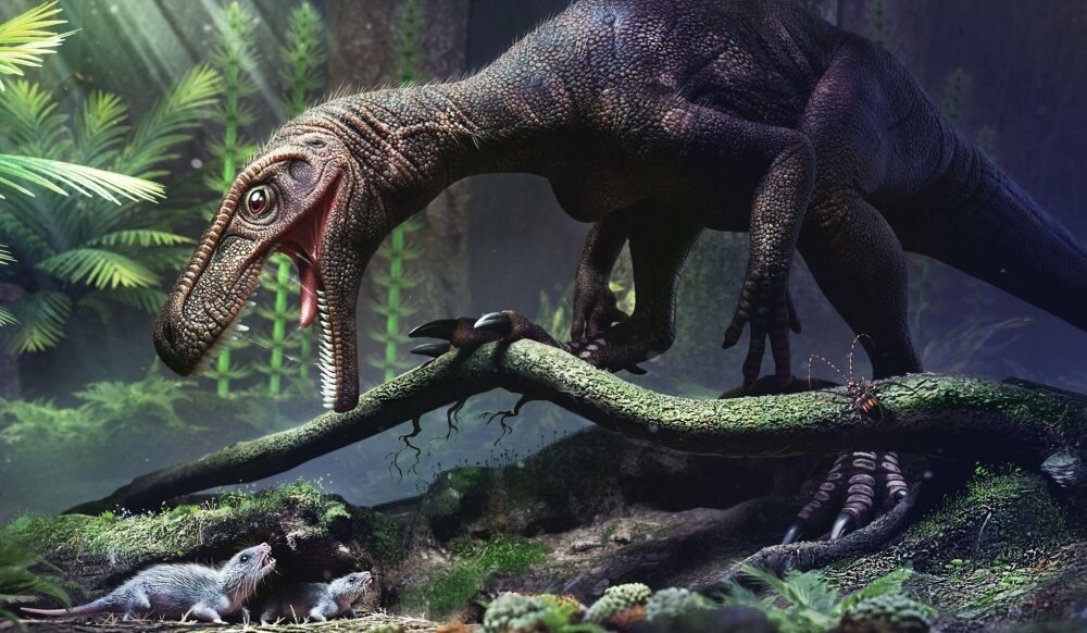 研究显示让恐龙成为巨人的中空骨骼至少独立进化了三次