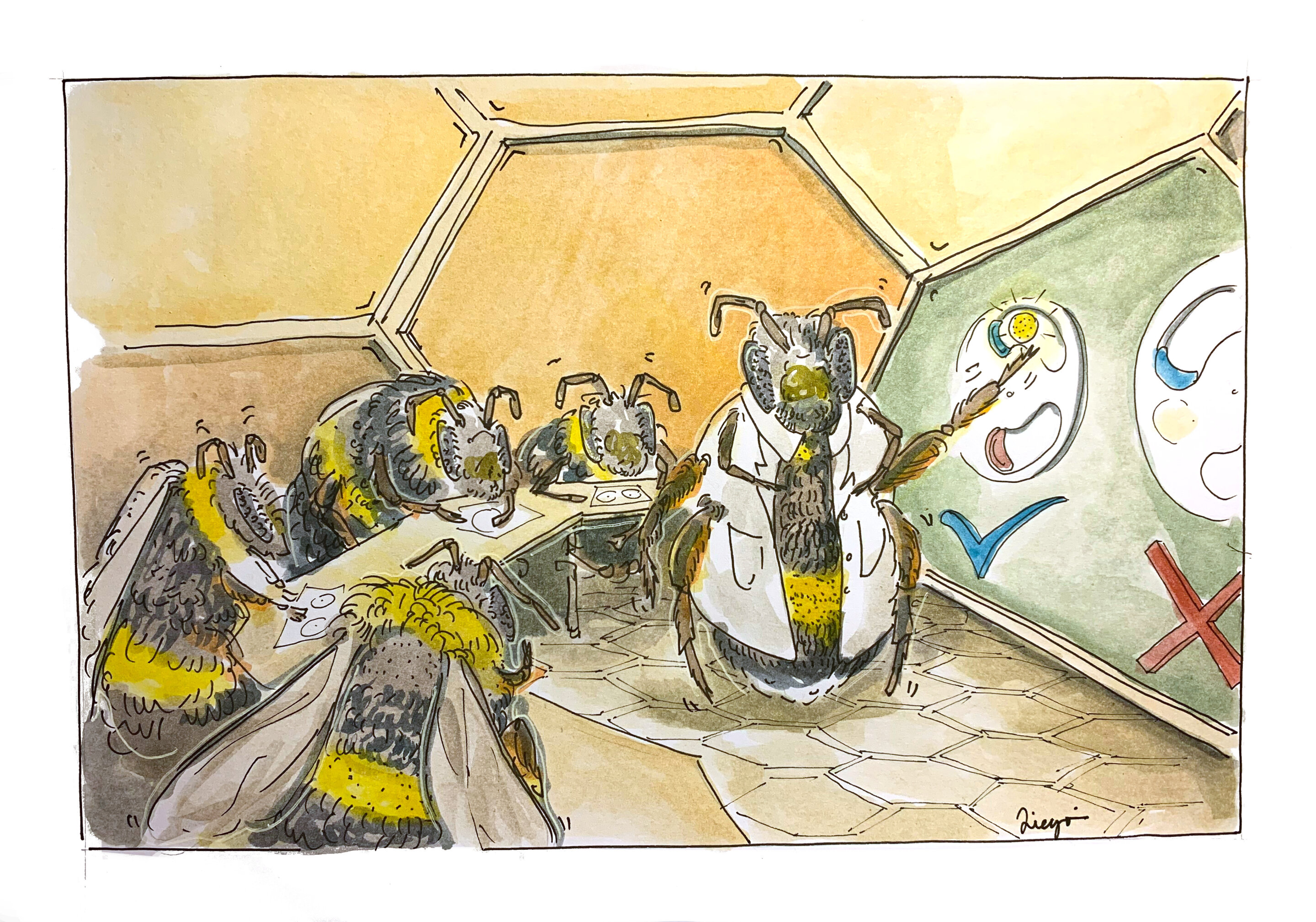 ��Ʒ�ͨ���۲���ѧϰ�µ���Ϊ�����ơ�