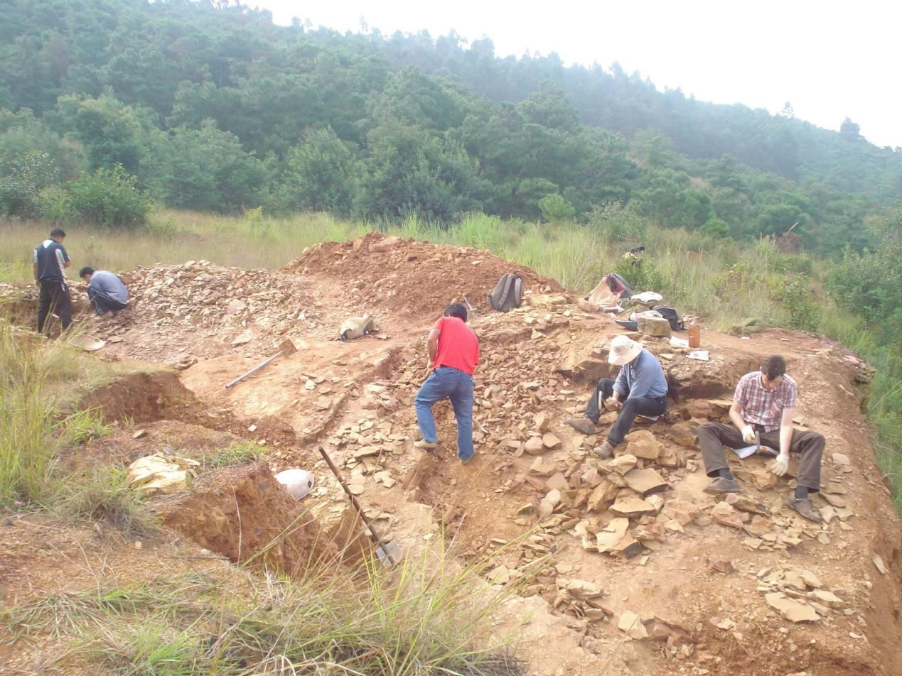 Protomelission是早期绿藻,并非寒武纪的苔藓虫