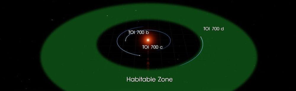遥远的恒星TOI-700有两颗潜在的宜居行星围绕它运行