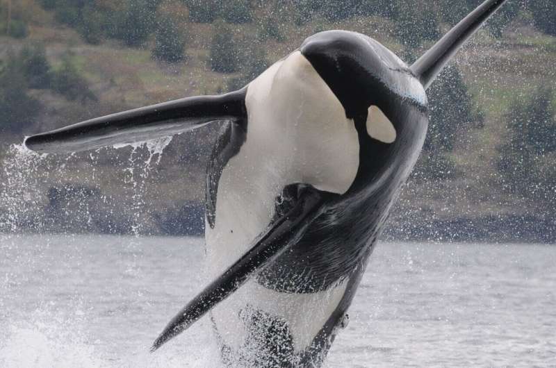 �������Ϸ��ľ����ͻ������Է�ʽ��ͬ������������ڽ����Ϸ����������ļ���