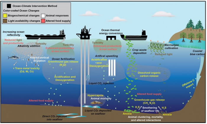 海洋气候干预技术对深海生态系统的潜在风险