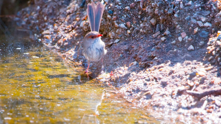 ��Ů���Ӹ��п���ð�հ����������ܵ��罻Ȧ��Ա