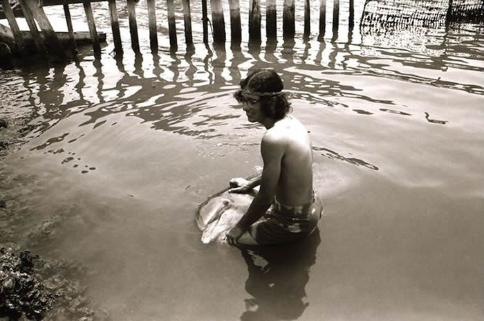 《Wet Goddess》：马尔科姆·布伦纳（Malcolm Brenner）与海豚多莉的故事