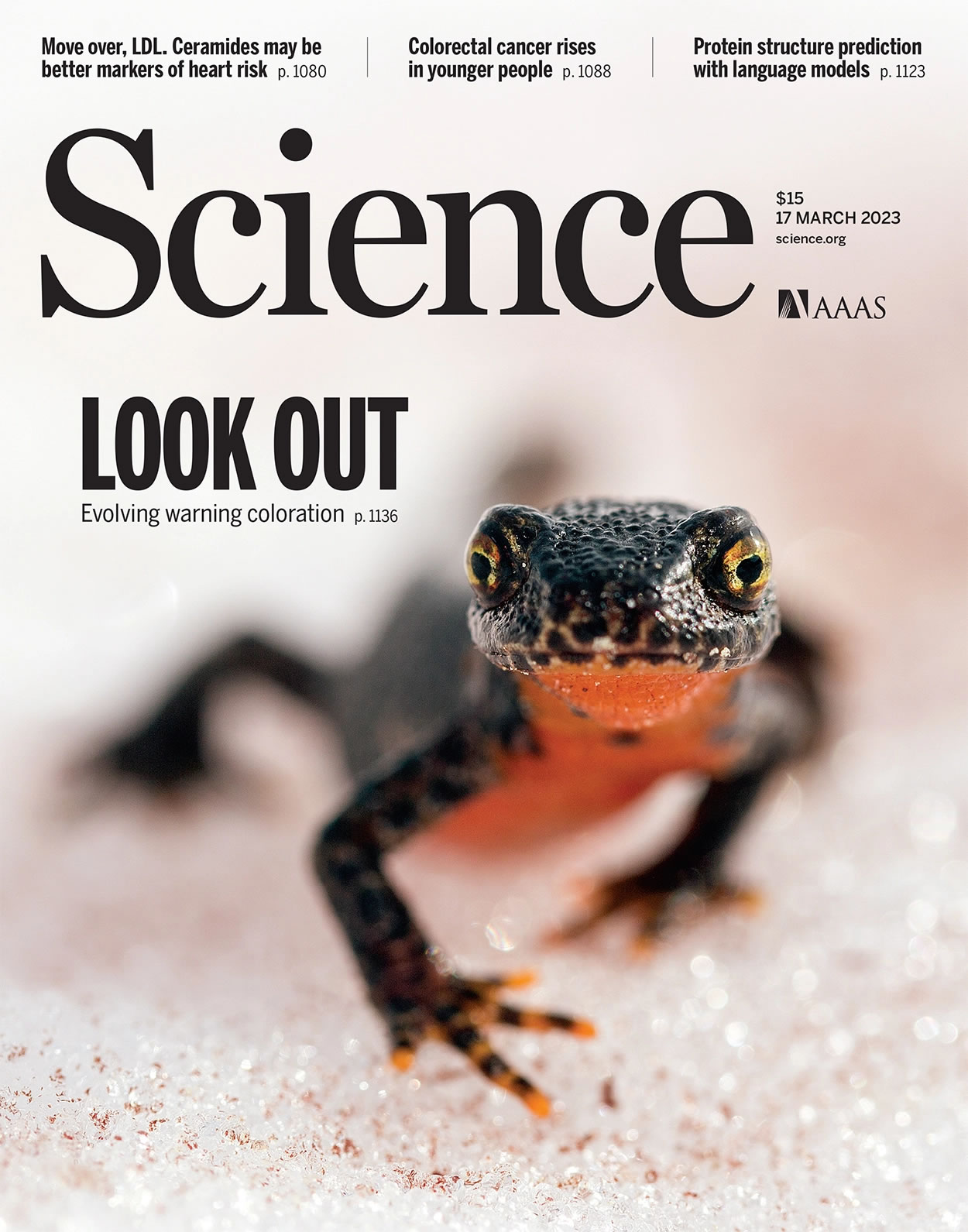 αװʾĽת䣺صźŷŹؼ