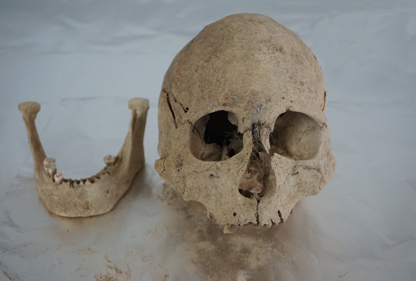 古DNA研究揭示5,100年来青藏高原人群的演化历史