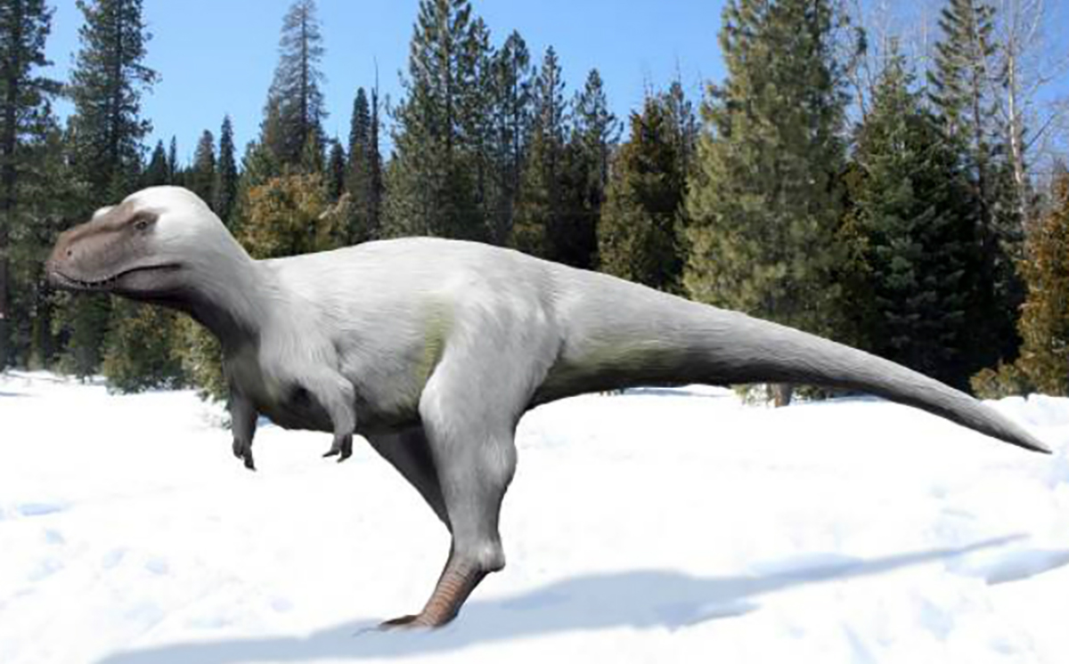 有些种类的恐龙耐寒 它们住在北极附近通过冬眠挺过极寒时期