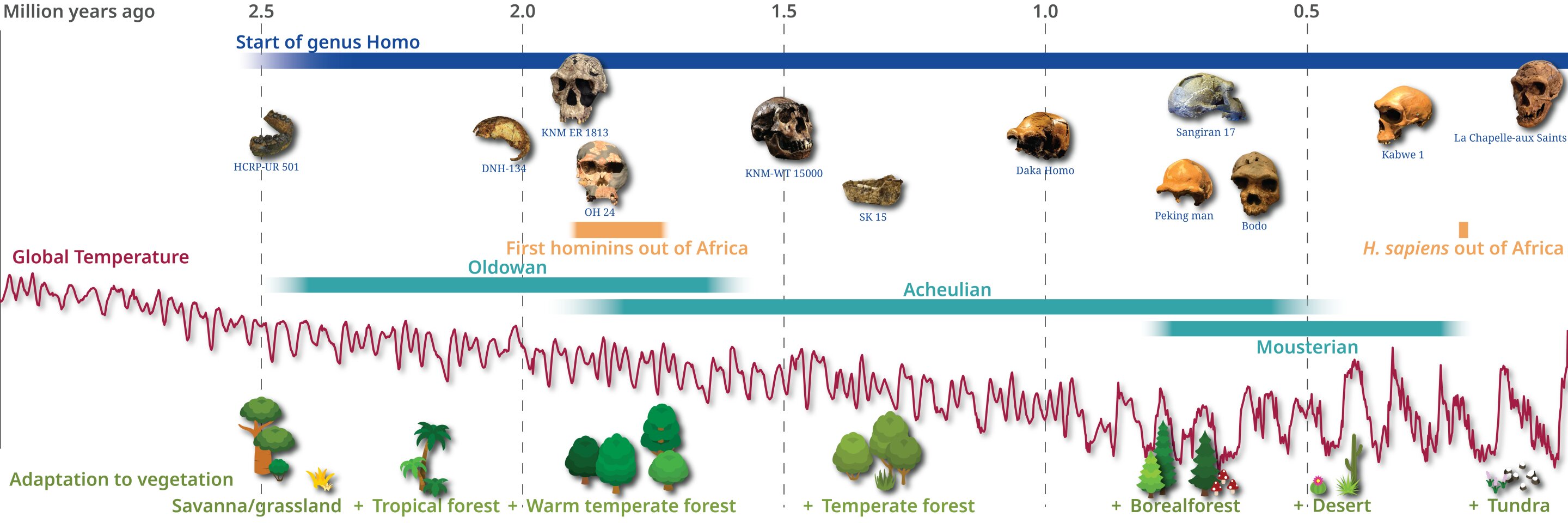 《科学》杂志：研究揭示过去300万年里人类对不同生物群落的适应性