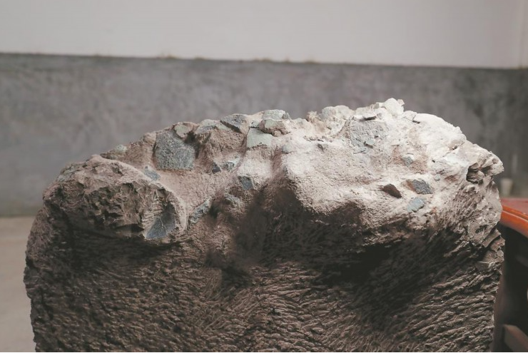 福建省首次发现恐龙蛋化石 为长形蛋类