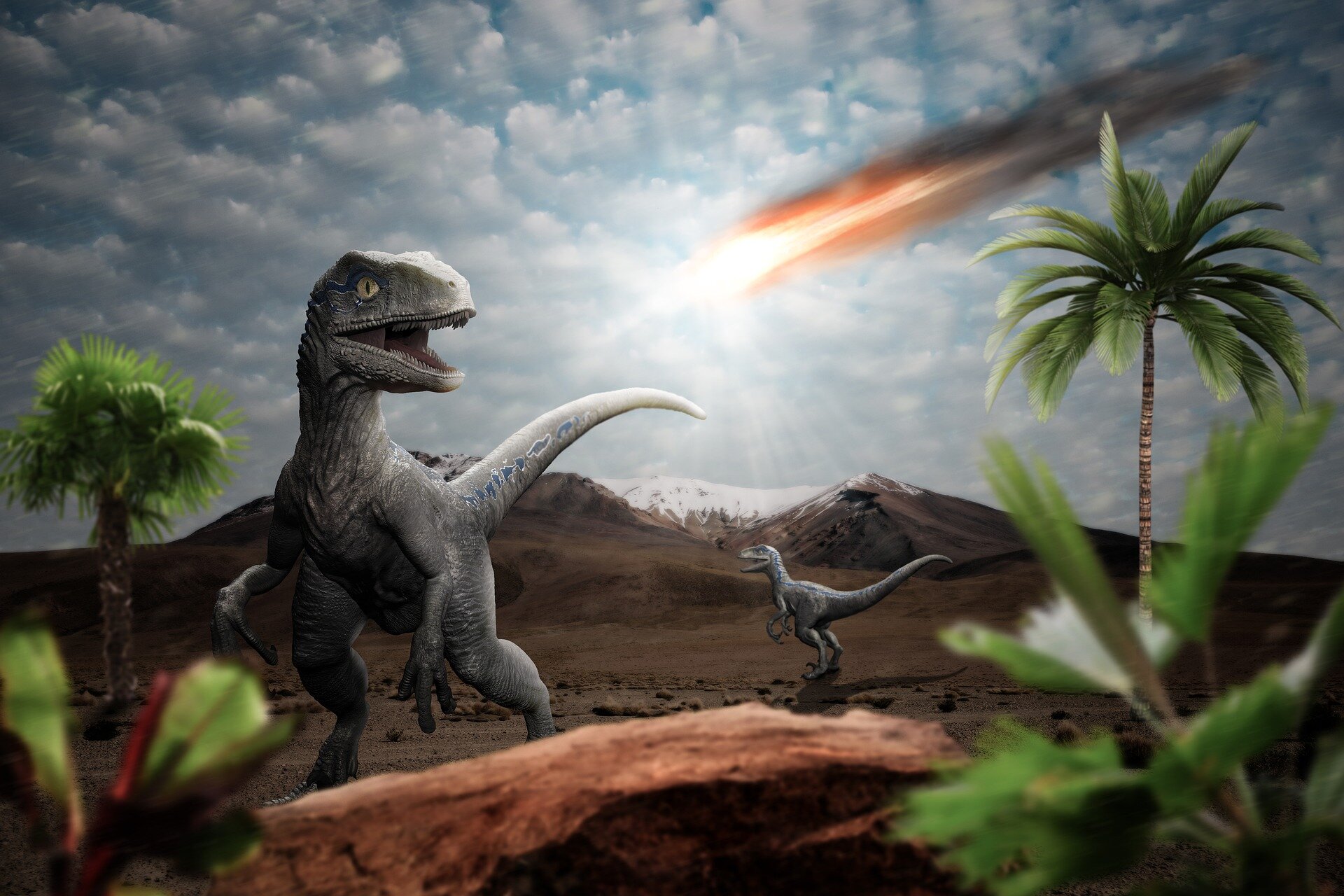 6600万年前小行星撞击地球之前恐龙可能已经在衰落