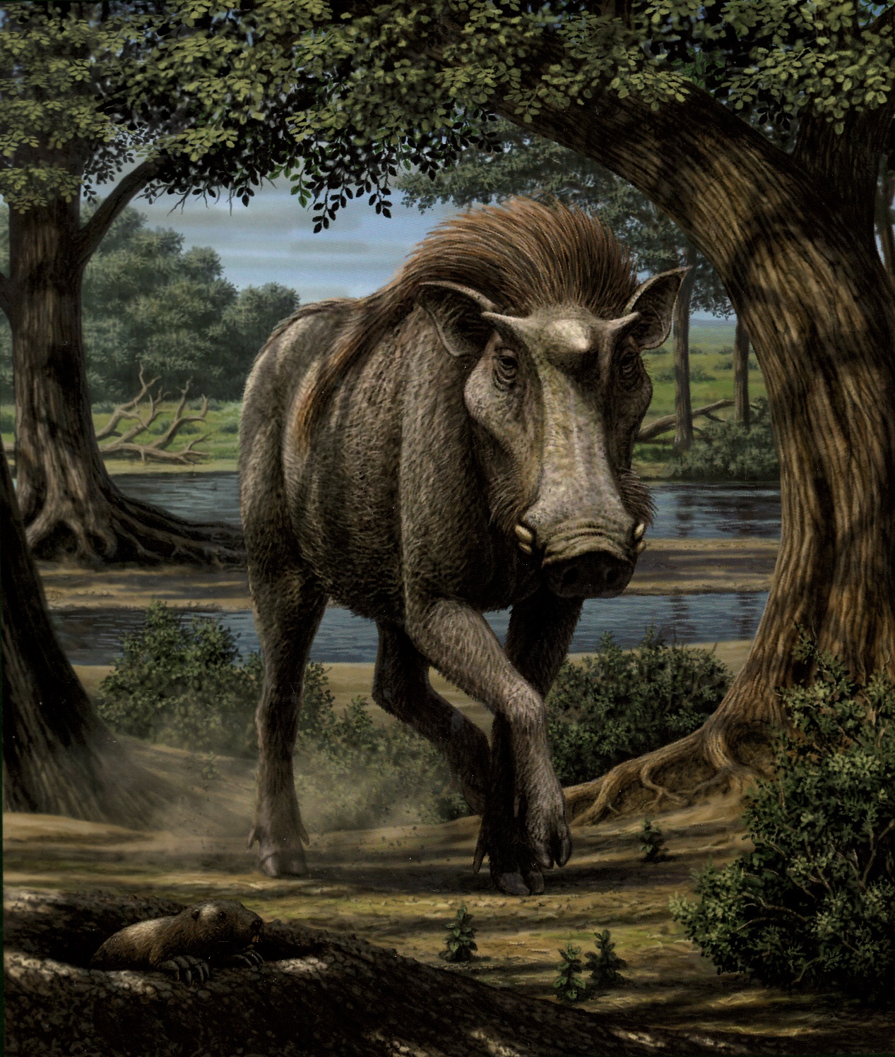 《古地理古气候古生态》:临夏盆地库班猪化石生物地层学及古生态学研究新进展