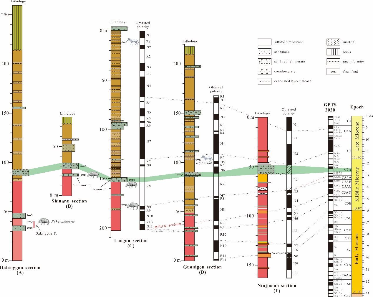 《古地理古气候古生态》:临夏盆地库班猪化石生物地层学及古生态学研究新进展