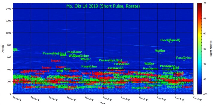 ����������һ����ȫ��Χ��Ǩ�� Ȼ�����ǵ�Ǩ��ģʽȴ���ྶͥ