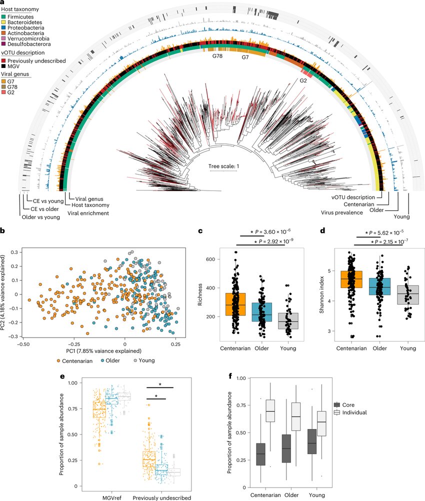 为什么有些人能活到100岁?肠道细菌可能掌握着答案