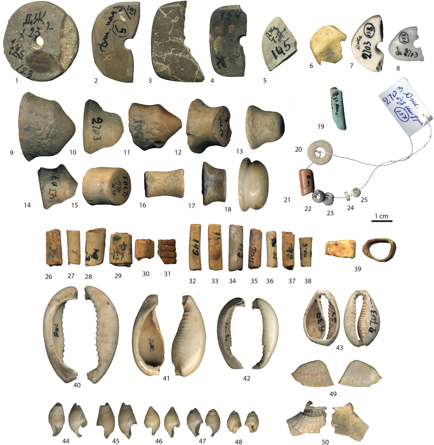 贝壳珠的发现揭示了石器时代的航海
