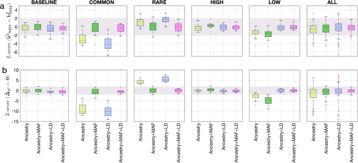 现代人类中发现的尼安德特人DNA的持久效应